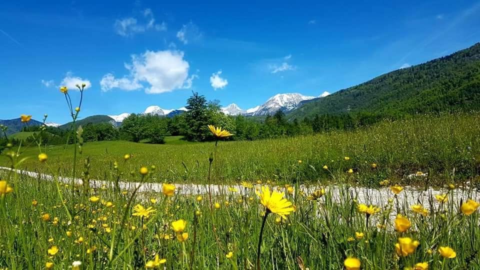 Apartments Susnik Bohinj Bagian luar foto