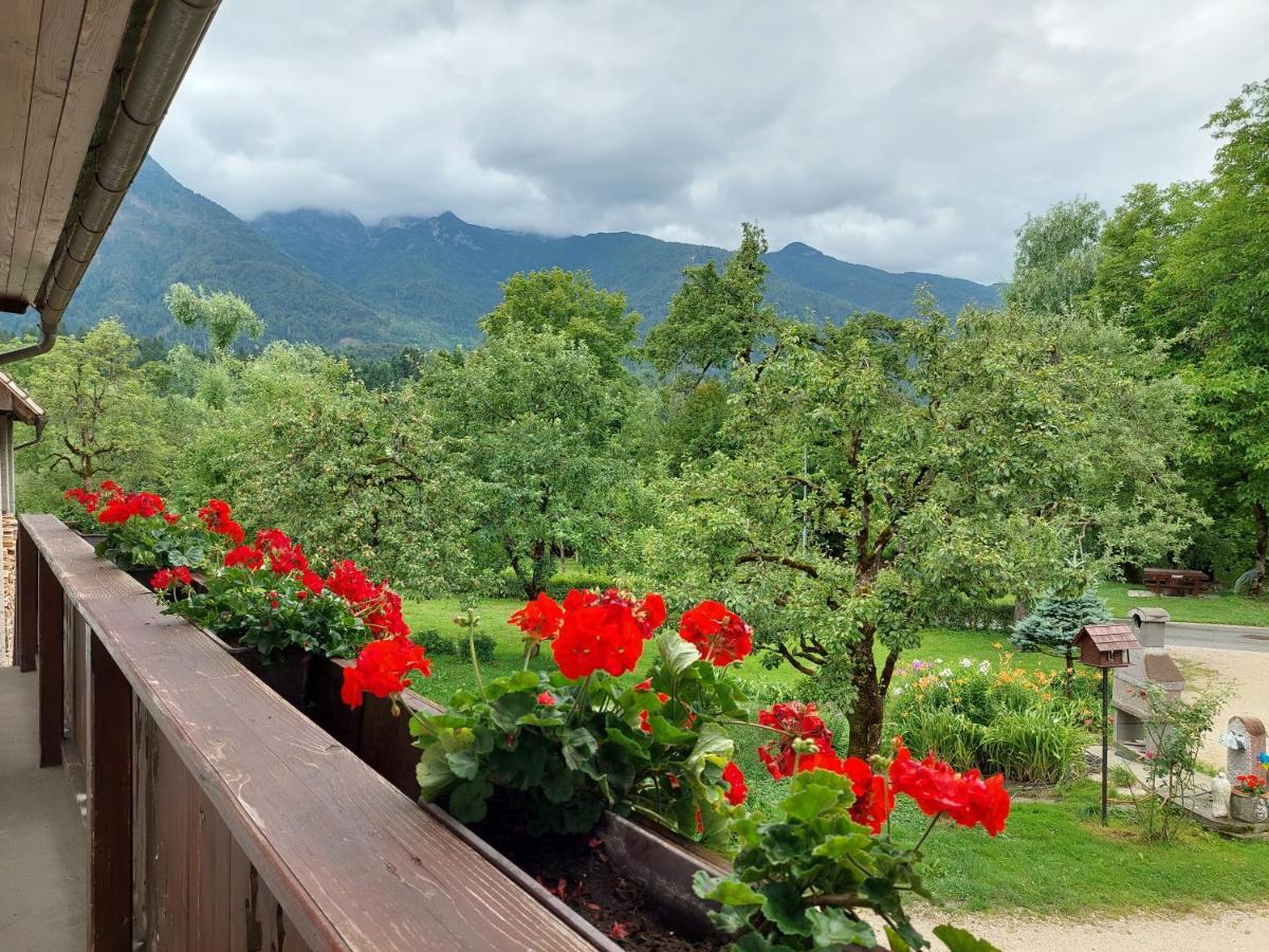Apartments Susnik Bohinj Bagian luar foto
