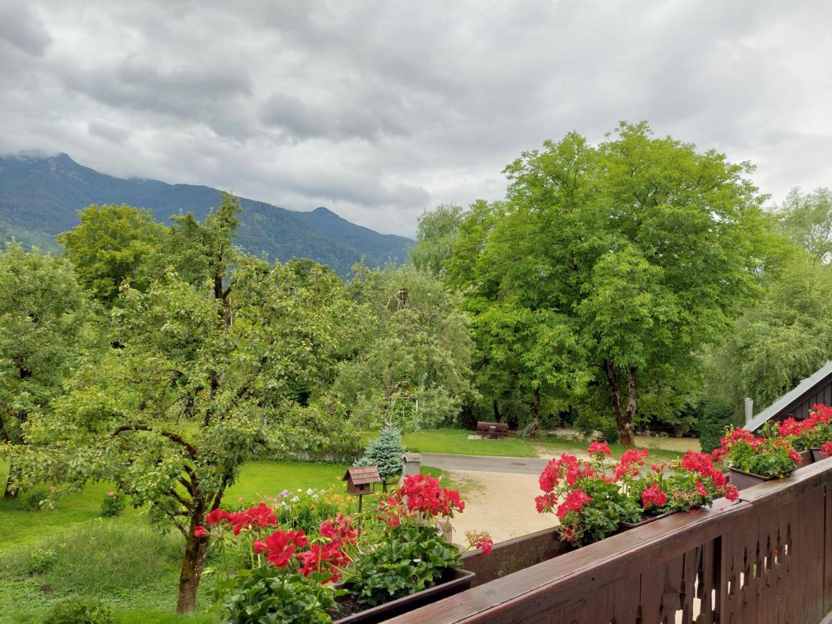 Apartments Susnik Bohinj Bagian luar foto