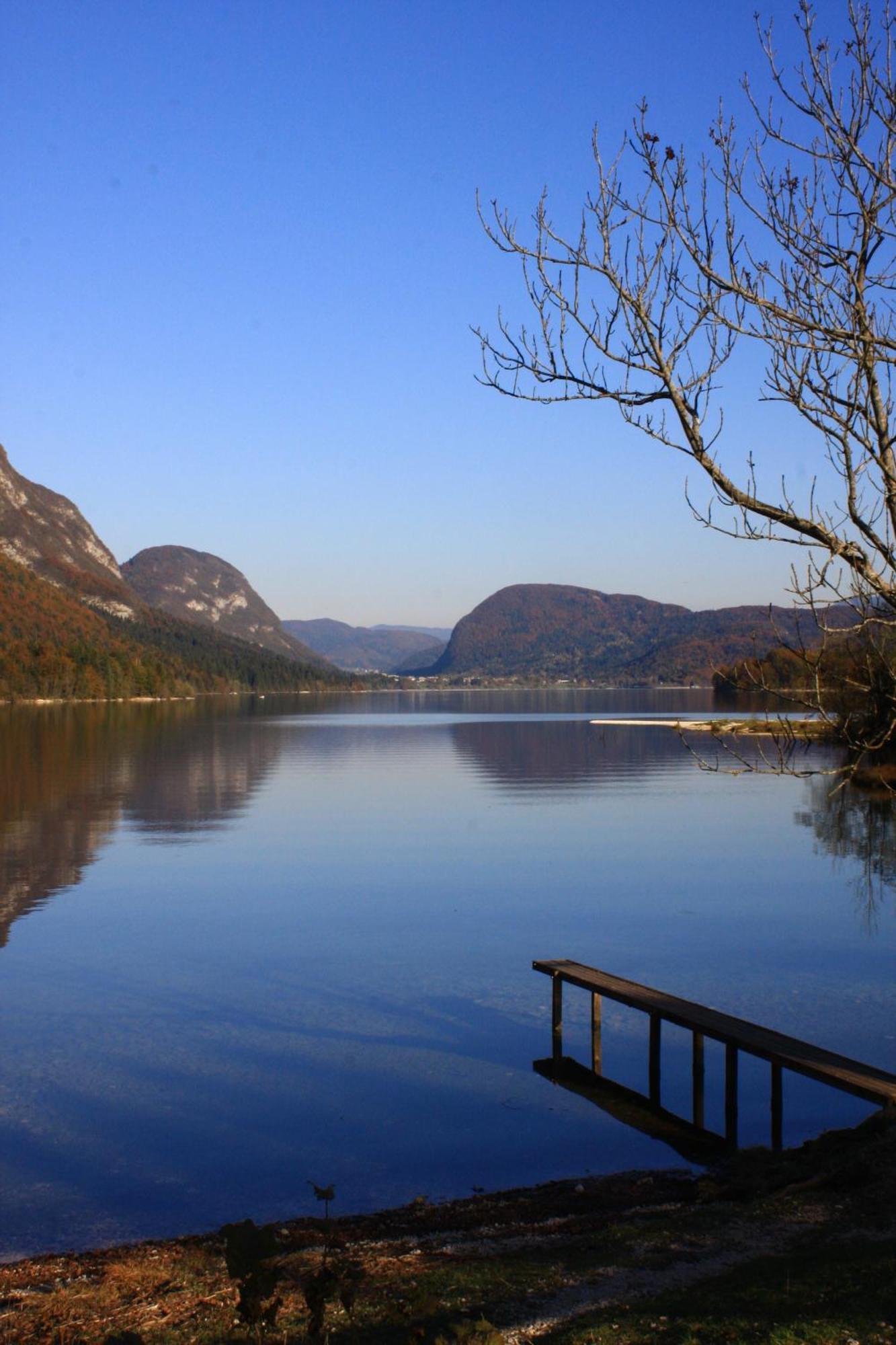 Apartments Susnik Bohinj Bagian luar foto