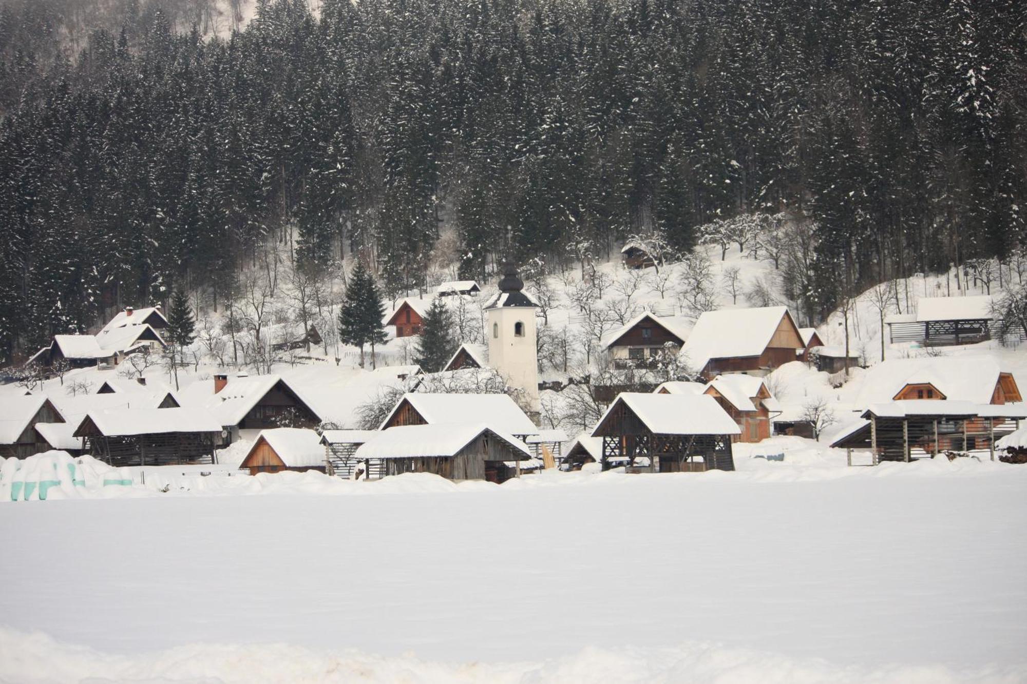 Apartments Susnik Bohinj Bagian luar foto